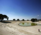 Mexico Declares State of Emergency in Areas Hit by Drought Related to La Niña, Threatening Livelihoods