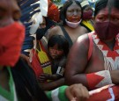 Brazil: 2 Indigenous 'Forest Guardians' Fighting Illegal Deforestation Killed