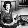 Queen Elizabeth II Dead: What Will Happen to the Queen’s Corgis Now?