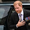 Prince Harry, Prince Andrew Banned From Wearing Military Uniform at Queen Elizabeth II's Funeral