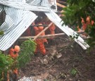 El Salvador Landslides Kill 7 People, Including 3 Children, After Days of Rain