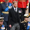 Prince Harry, Meghan Markle Children Can Receive Royal Titles From King Charles Iii if Memoir Is Not Released - Royal Expert
