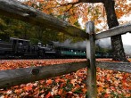 Missouri: 7 People Injured After Passenger Train Derailed at Silver Dollar City Amusement Park