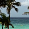 Barbados: Top 5 Tourist Spots in Caribbean’s Little England