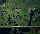 Brazil Is Losing Amazon Rainforest to Organized Crime, Traffickers Using the Region to Smuggle Drugs, Judge Says