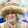 Camilla Takes Colonel of Grenadier Guards Title From Prince Andrew; Kate Middleton Gets New Title From King Charles