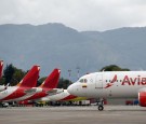 Colombian Airline Avianca to Prohibit Large Pets on Flights; Announces New Flight Routes to Brazil, U.S.