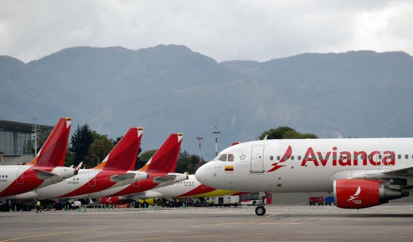 Colombian Airline Avianca to Prohibit Large Pets on Flights; Announces New Flight Routes to Brazil, U.S.