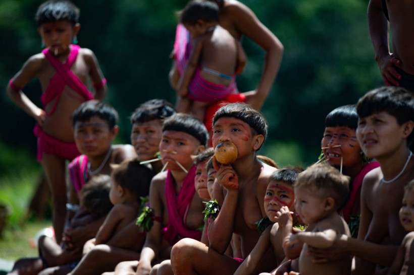 Brazil: Illegal Mining Left Yanomami Indigenous People in Dire Condition  