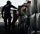 Ecuador Finds $330 Million Worth of Cocaine in Banana Shipment