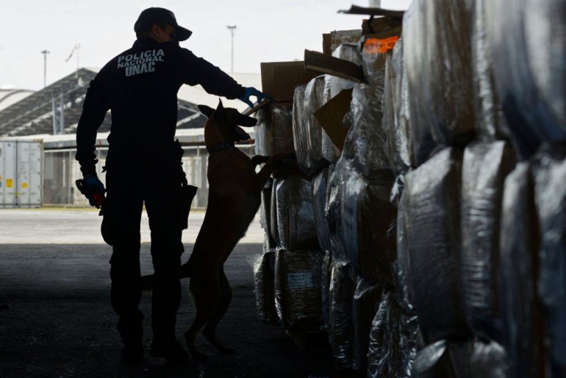 Ecuador Finds $330 Million Worth of Cocaine in Banana Shipment