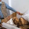 Peru Man Says Ancient Mummy Found in His Food Delivery Bag Is His 'Spiritual Girlfriend'