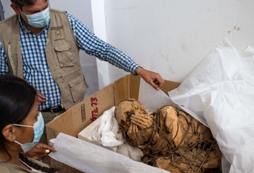 Peru Man Says Ancient Mummy Found in His Food Delivery Bag Is His 'Spiritual Girlfriend'
