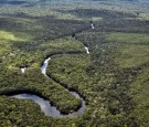 Bolivian Man Survives Dangerous Amazon Jungle for a Month Eating Worms  