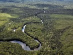 Bolivian Man Survives Dangerous Amazon Jungle for a Month Eating Worms  