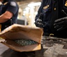 Mexico Asks China to Help Curb Fentanyl Production  