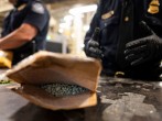 Mexico Asks China to Help Curb Fentanyl Production  