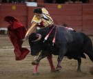 Bullfighting in Peru: How Did the Dangerous Contest Start in the Andean Region?