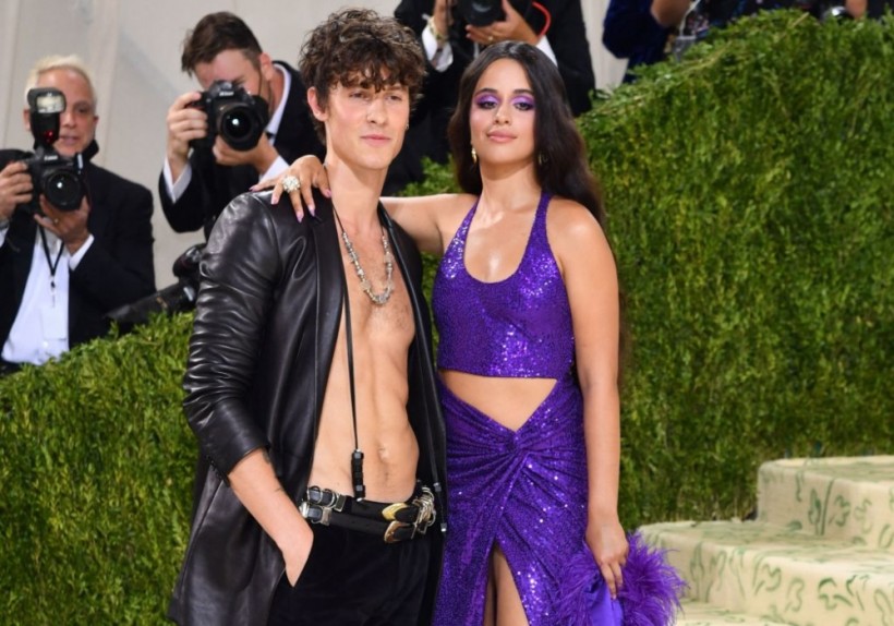 Camila Cabello, Shawn Mendes' Sparks Reunion Buzz After Date Night  