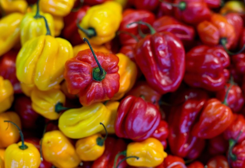 Mexican Hot Peppers: Which are the 5 Hottest?