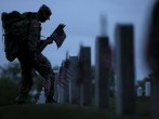 Memorial Day: Exploring the Holiday's History and the Significance of Red Poppies  