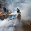 Peru Dengue Outbreak: Almost All Regions Battle Outbreak of Mosquito-Borne Disease  