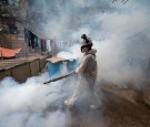 Peru Dengue Outbreak: Almost All Regions Battle Outbreak of Mosquito-Borne Disease  