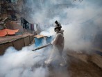 Peru Dengue Outbreak: Almost All Regions Battle Outbreak of Mosquito-Borne Disease  