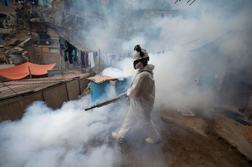 Peru Dengue Outbreak: Almost All Regions Battle Outbreak of Mosquito-Borne Disease  