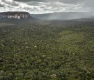 Colombia: 4 Children Lost in Amazon Jungle for 40 Days After Plane Crash Found Alive  