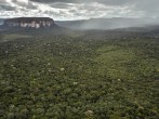 Colombia: 4 Children Lost in Amazon Jungle for 40 Days After Plane Crash Found Alive  