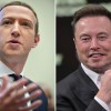 Elon Musk vs. Mark Zuckerberg: Tesla Boss Wants Fight in Vegas  