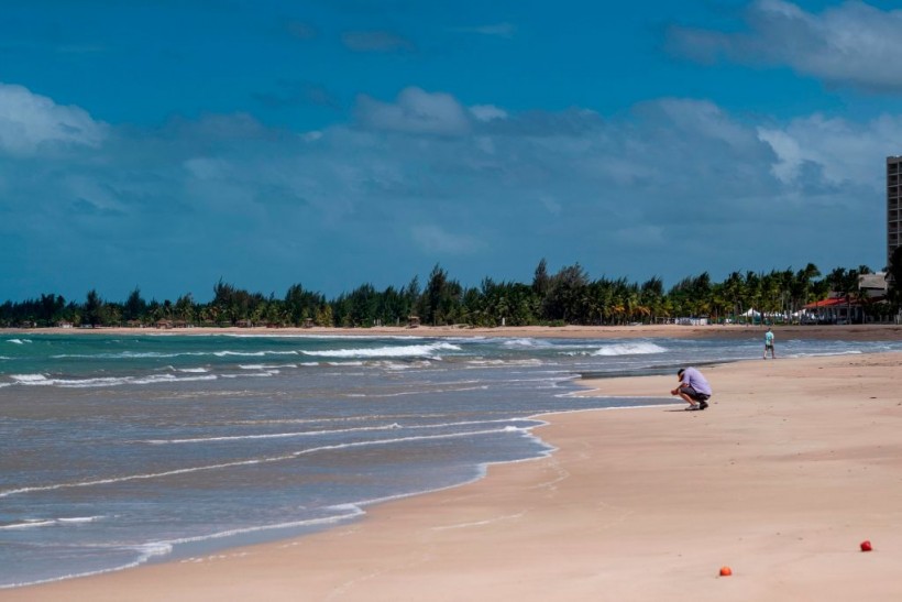 Puerto Rico: Top 5 Resorts To Visit While in This US Territory