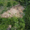 Colombia Deforestation Drops by 29% in 2022, Lowest in Nearly 10 Years  