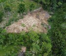 Colombia Deforestation Drops by 29% in 2022, Lowest in Nearly 10 Years  