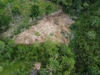 Colombia Deforestation Drops by 29% in 2022, Lowest in Nearly 10 Years  