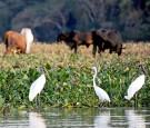 El Salvador: Top 4 Beautiful Places to Visit in 'The Land of Volcanoes'  