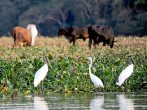 El Salvador: Top 4 Beautiful Places to Visit in 'The Land of Volcanoes'  