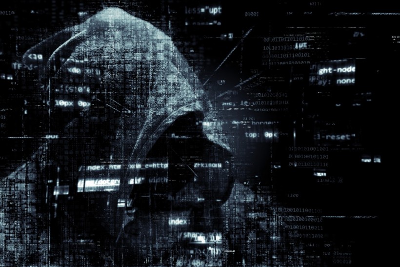 Pirate, Cybercriminalité, L'Internet