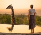 woman looking at brown giraffe with reflection on water