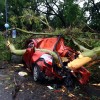 Argentina and Uruguay Hit By Deadly Storm That Left 16 People Dead