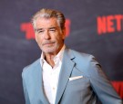 Pierce Brosnan Faces 2 Citations from Yellowstone Park After Violating Closures
