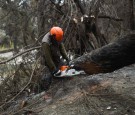  Chile Wildfire Death Toll Reaches 131; Fire Linked to Climate Change