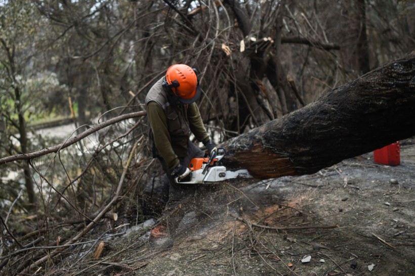  Chile Wildfire Death Toll Reaches 131; Fire Linked to Climate Change