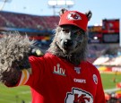 Chiefs Superfan Xavier 'Chiefsaholic' Babudar to Pay $10.8M in Damages 
