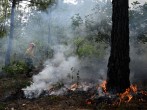 Guatemala Forest Fires Places Country in State of Calamity, President Bernardo Arevalo Announced