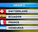 Ecuador v France: Group E - 2014 FIFA World Cup Brazil