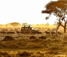 Serengeti Under Canvas