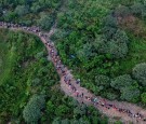 Darien Gap: Children Migrants Crossing the 'Donkey Route' Surges, Says UNICEF 