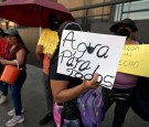 Mexico Heatwave So Bad That Even Police Are Protesting, Blocking Traffic; Howler Monkeys Dropping Dead from Trees